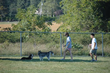 Thompson Park Dog Park